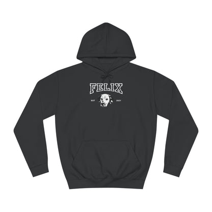 Custom College Style Hoodie