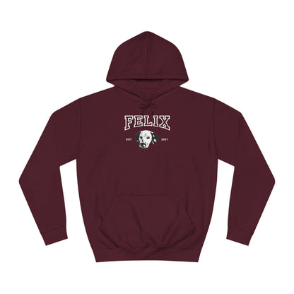 Custom College Style Hoodie