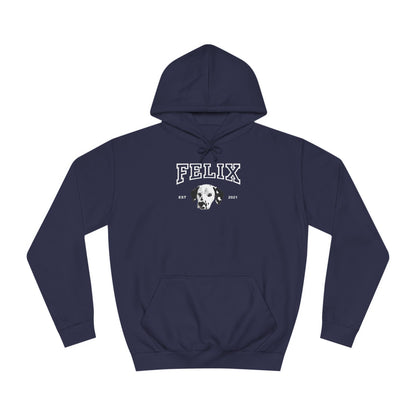 Custom College Style Hoodie